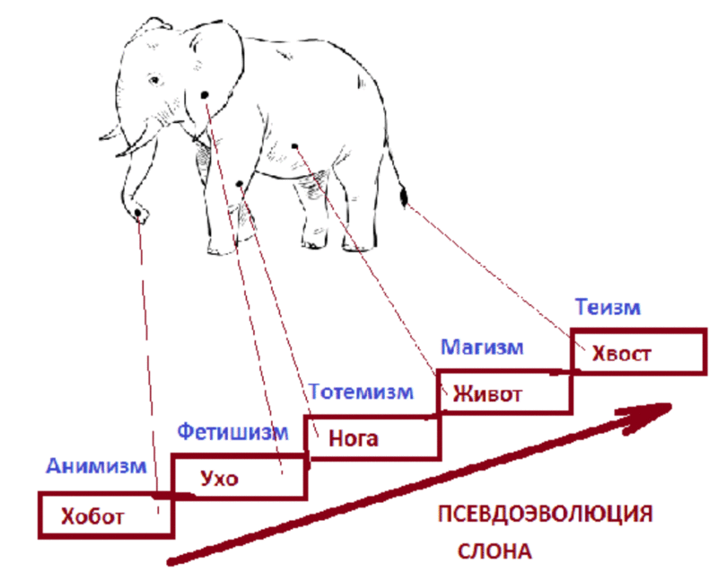 elephant_evolution_lol